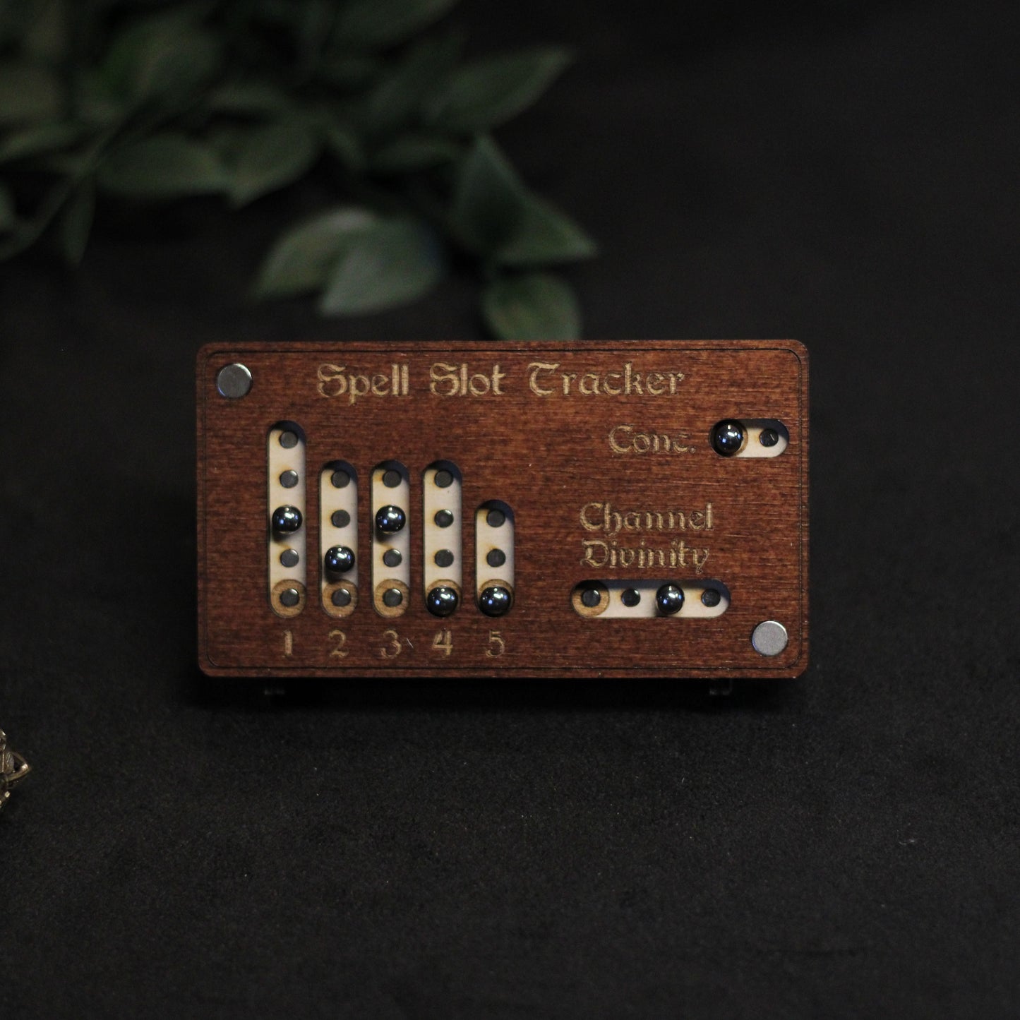 The Paladin's Tracker